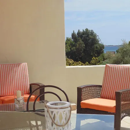 Solaster By Ddv Tourist *